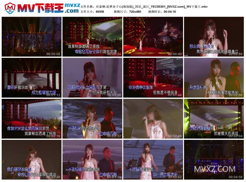 应嘉俐-追梦赤子心(现场版)_国语_流行_YEC00301